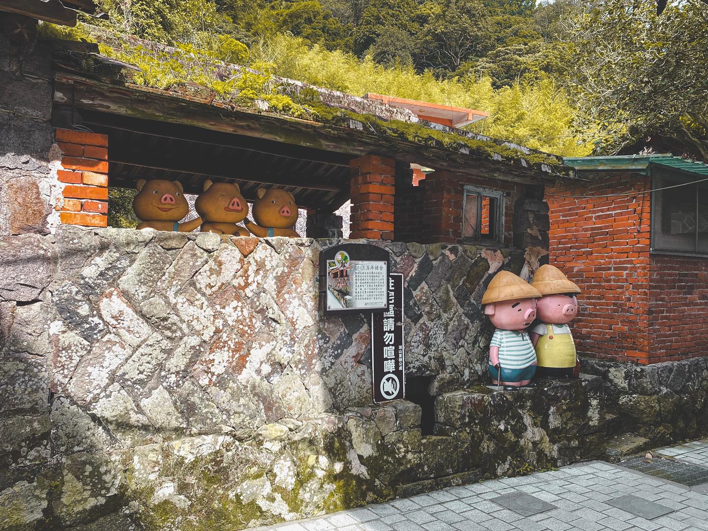 【走讀台北】陽明山中的登山秘境：造訪座落百年老樹下的湖山社區「湖底聚落」