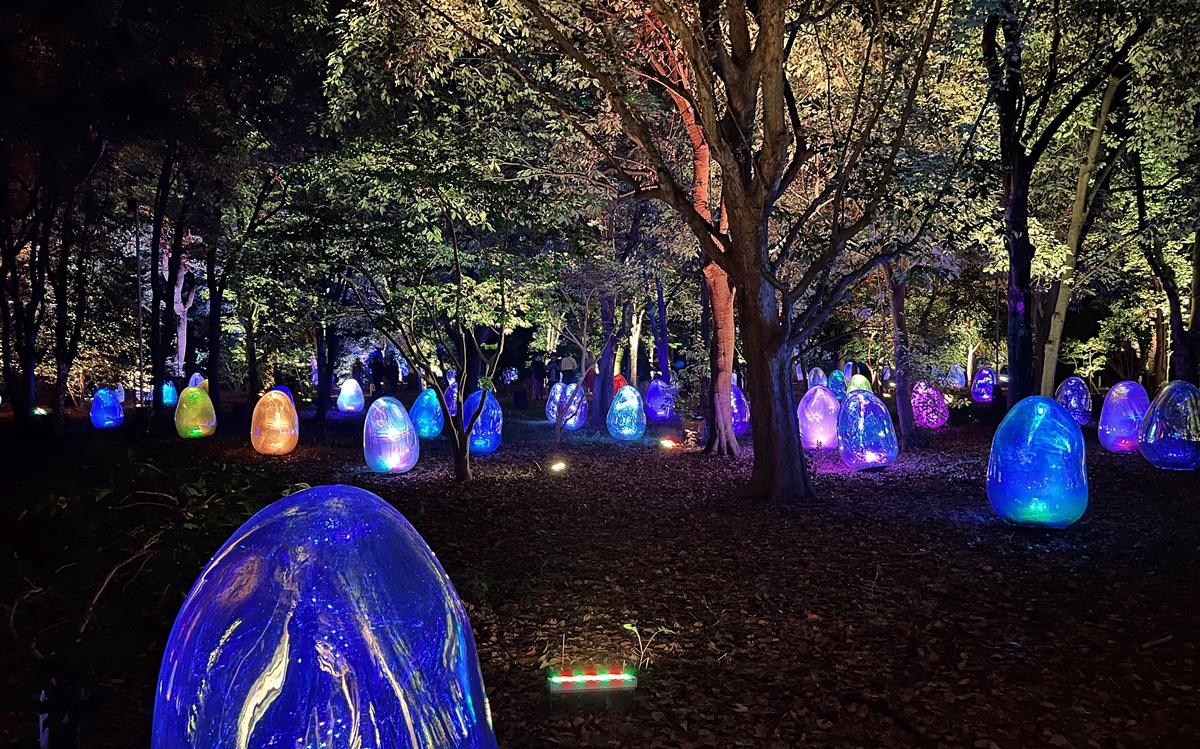 夜晚限定！前進大阪南區的沉浸式藝術展覽：大阪長居植物園夜間常設展 teamLab Botanical Garden Osaka