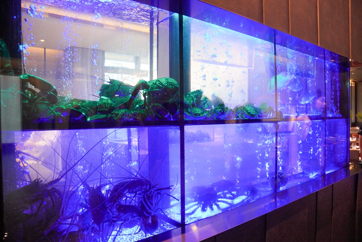 現撈漁獲新鮮送上桌！礁溪寒沐酒店全新海鮮餐廳「岩彩海鮮餐廳」新開幕，澎派海鮮也有單人套餐