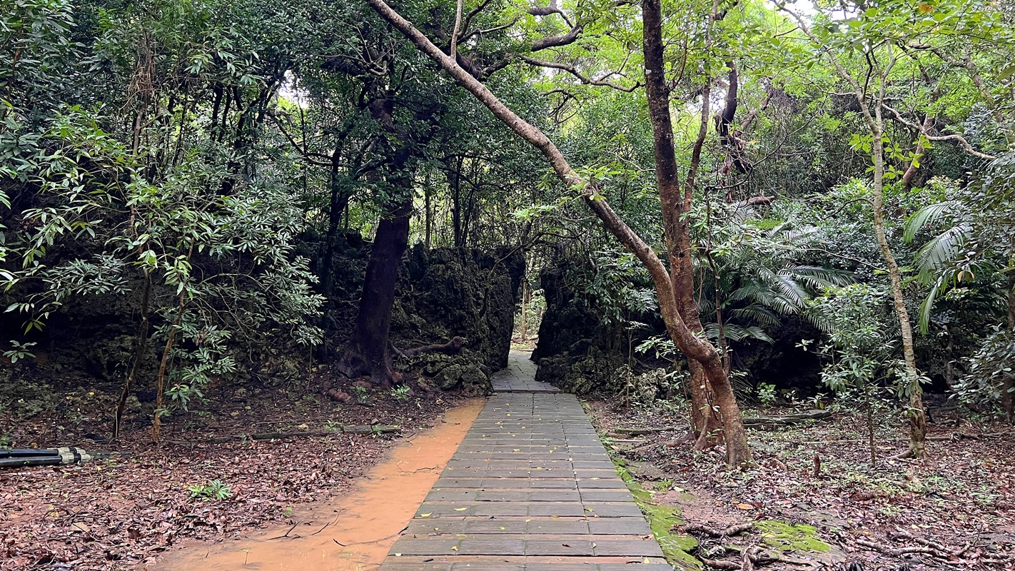 好一個幽美絕靜的墾丁半日遊！造訪在雷雨之間走起來頗有探險意味的「墾丁國家森林遊樂區」