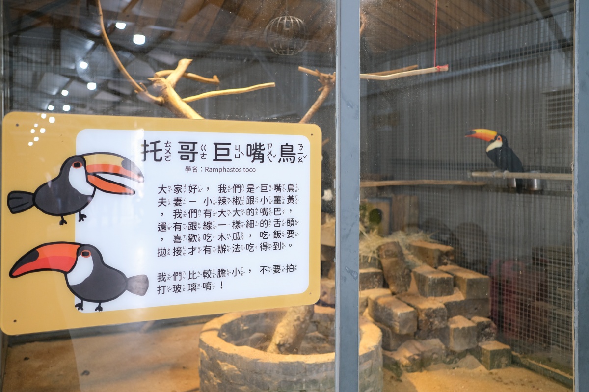新竹遛小孩新景點！「廢物媽媽育兒農場」讓孩子跟水豚、笑笑羊近距離互動