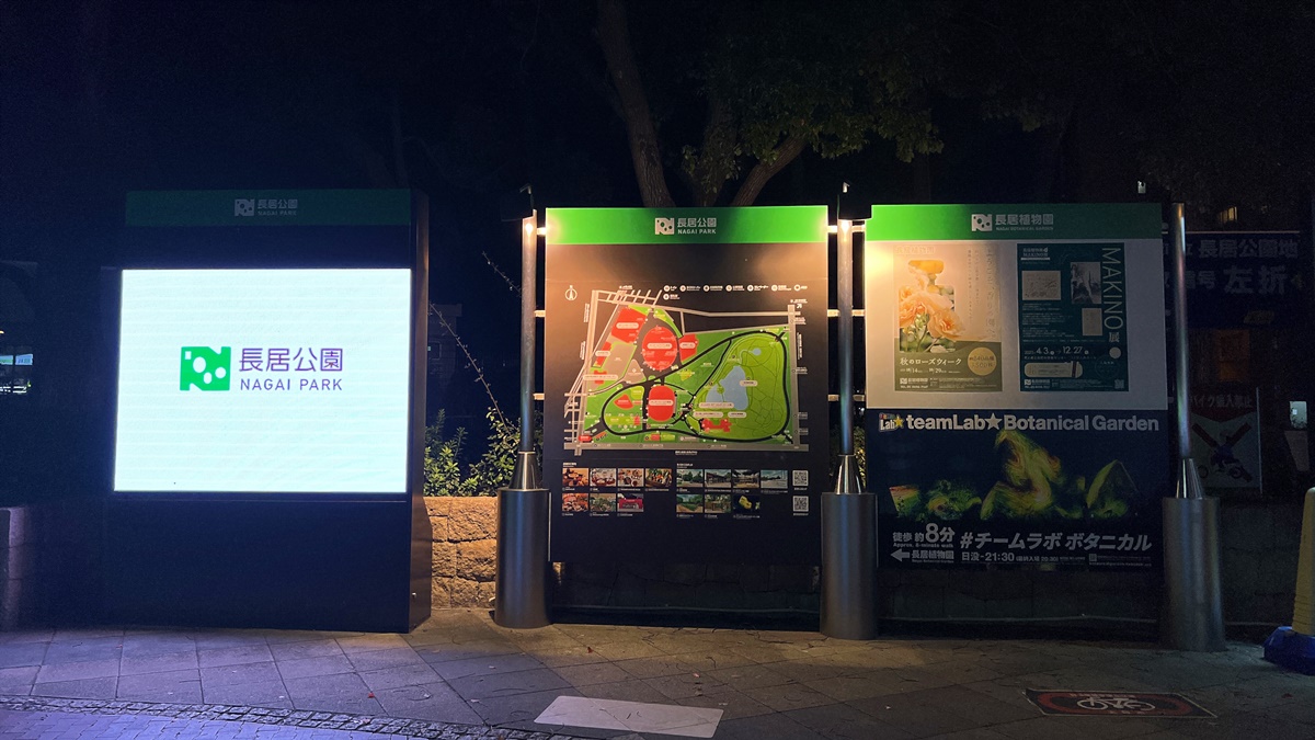 夜晚限定！前進大阪南區的沉浸式藝術展覽：大阪長居植物園夜間常設展 teamLab Botanical Garden Osaka