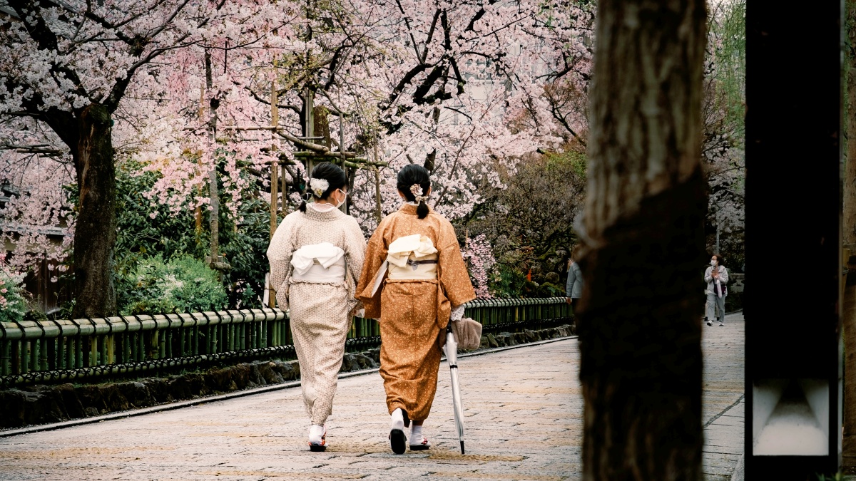 春天的京都充滿魅力！跟著《京都：春季遊》品在地美食、看風景，用在地人的方式來場京都之旅