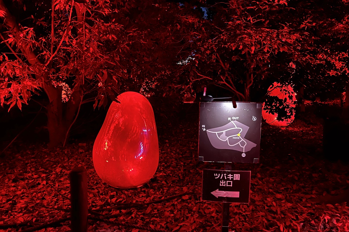 夜晚限定！前進大阪南區的沉浸式藝術展覽：大阪長居植物園夜間常設展 teamLab Botanical Garden Osaka