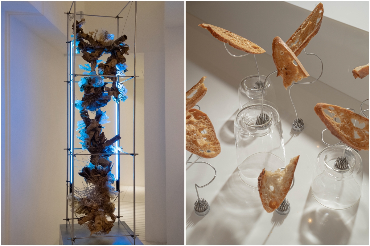 把看的展覽變成吃的藝術！The Seedin Lab《我吃了一個展覽》6月開始將餐飲結合藝術，打造全新沉浸式飲食饗宴