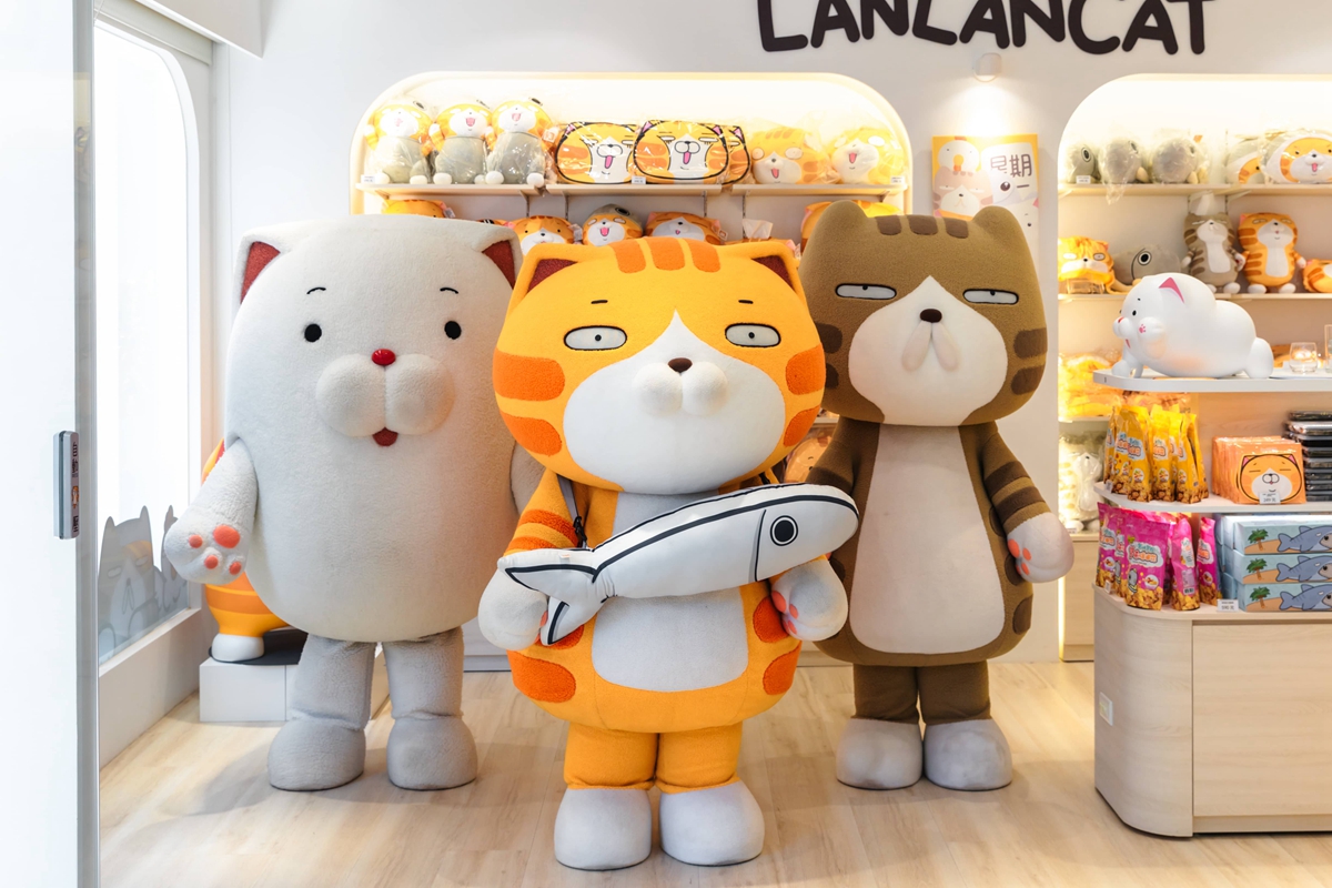 板橋出現白爛貓實體店！集結300多項周邊商品，連櫥櫃都是貓型輪廓