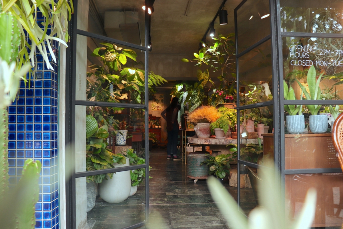 植物展覽市集「台灣第一植物界」開展！松菸工廠4/15-4/17帶來絕美觀葉植物、文青刺青與咖啡等 60 個質感品牌