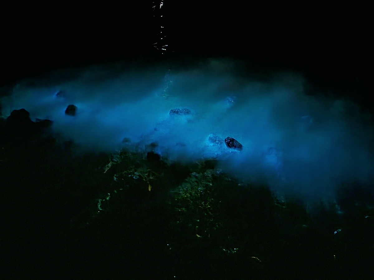 【世界旅宿搜查】水肺潛水、夜潛愛好者請注意！登上柬埔寨「頌薩私人島嶼」，在清澈海水圍繞下享受海洋度假行