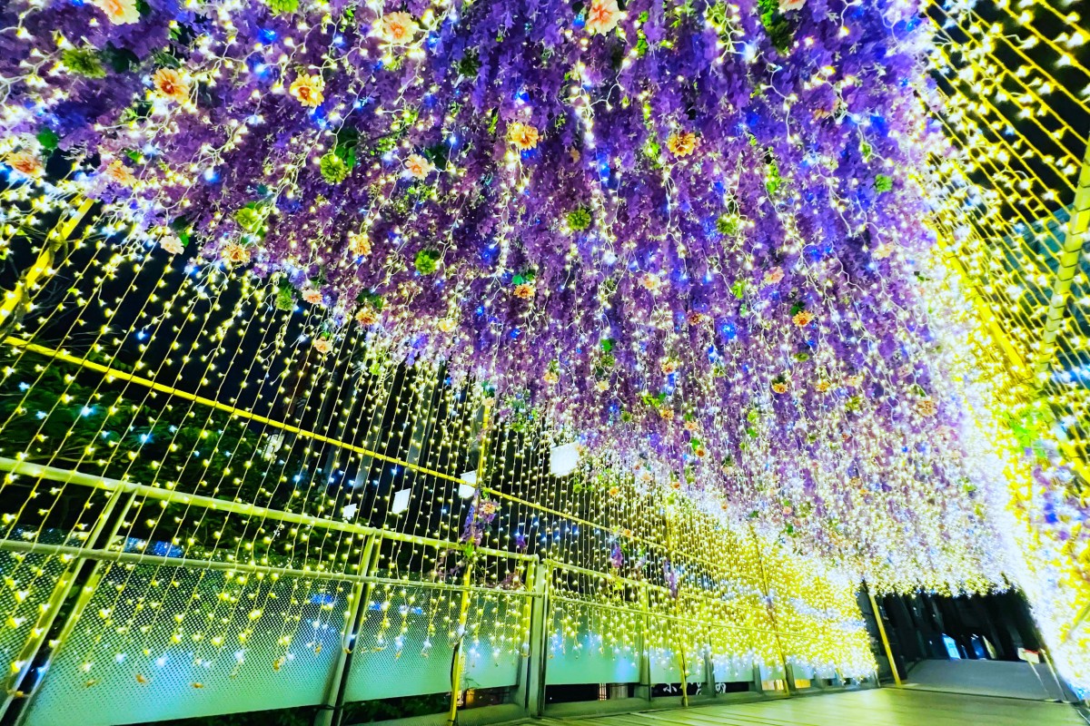 2023新北耶誕城7大必拍場景帶逛！府中捷運站巨型薑餅人、萬坪廣場白爛貓、市民廣場耶誕樹及周圍光廊好好拍