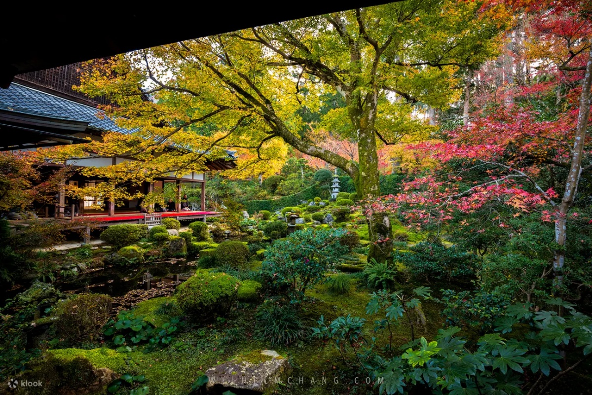 準備出國追楓去！從東京、川越、京都到靜岡，精選日本5大絕佳賞楓景點一次報給你
