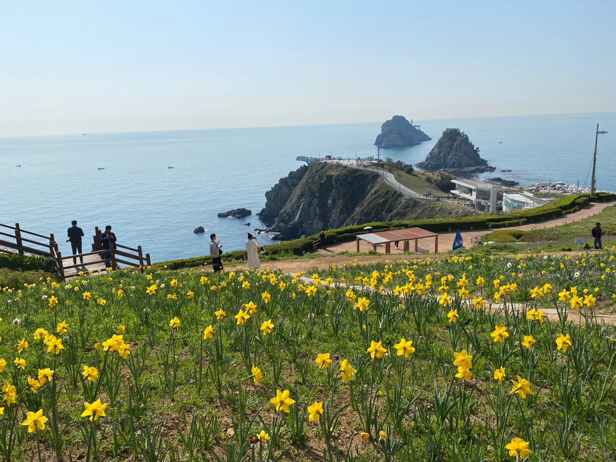 去韓國旅遊不只首爾可以玩，盤點釜山基本5個經典景點，甘川洞文化村童話般景象必打卡