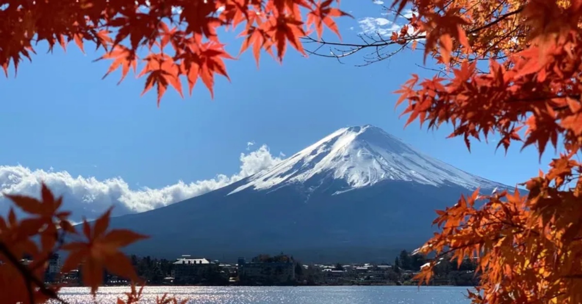 準備出國追楓去！從東京、川越、京都到靜岡，精選日本5大絕佳賞楓景點一次報給你