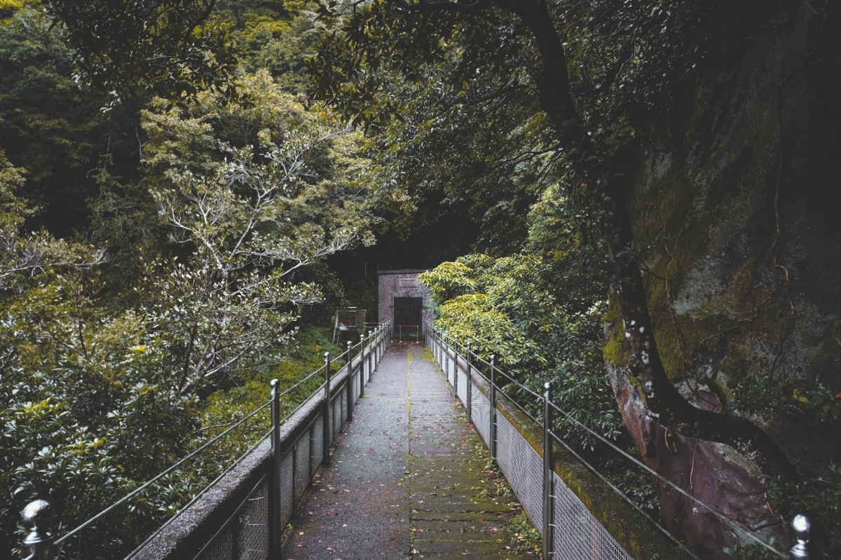 藏在陽明山上的藍寶石湧泉：一窺草山水道系統的藍寶石泉