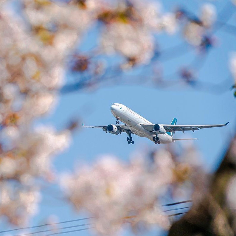 2023優惠機票資訊總整理！虎航全航線機票9折、899元可飛澳門，星宇飛熊本來回最低一萬元
