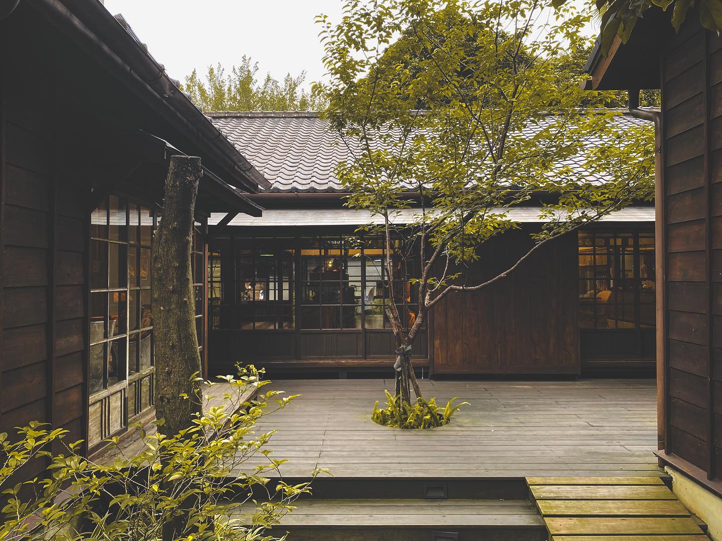 【走讀台北】日式宿舍群中的耀眼伴手禮店：造訪金碧輝煌的「金錦町」