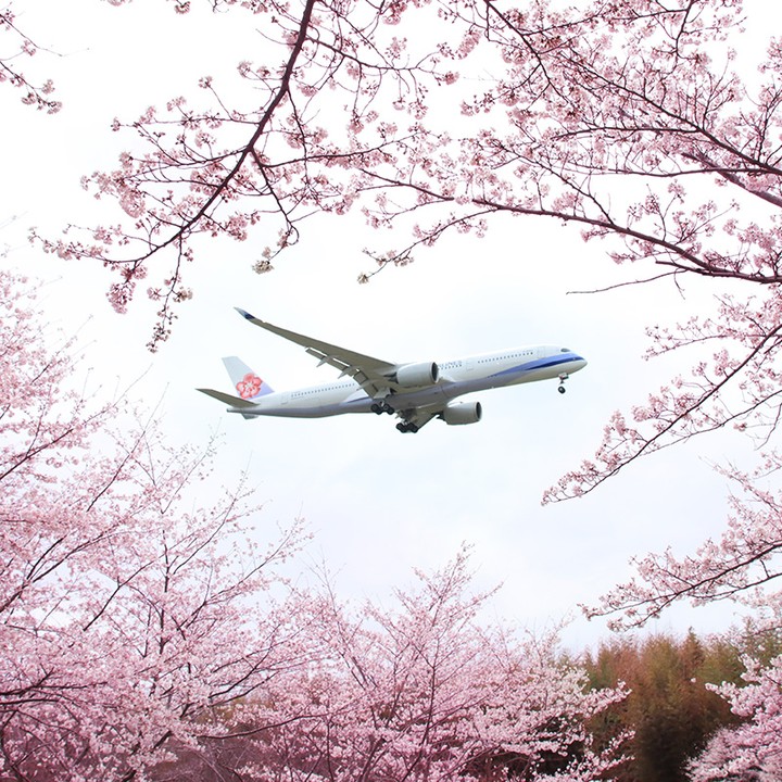 2023「航空界奧斯卡」名單公布！長榮奪「全球最佳航空」第9、酷航獲「最佳長途廉航獎」