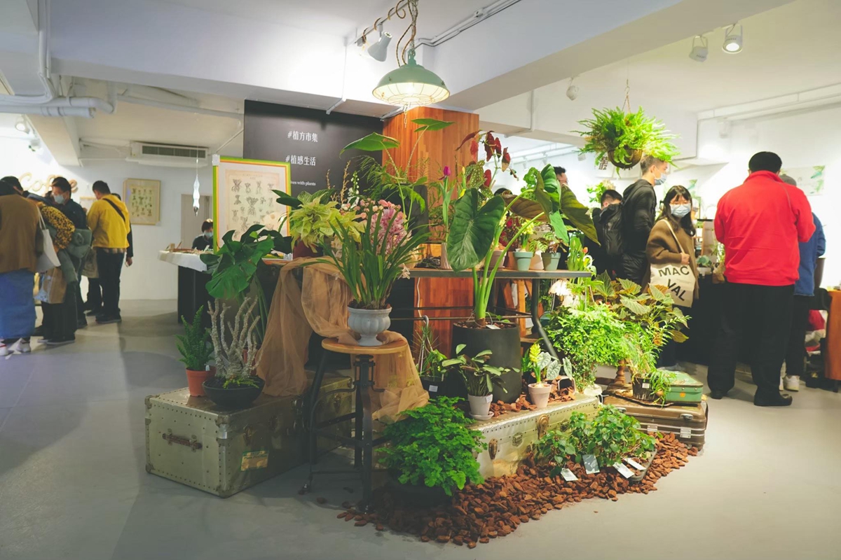台北華山文創園區「植方市集」接力植物展覽市集！5/21 – 5/22 快閃兩日除了雨林植物還有家具與展場限定盆器