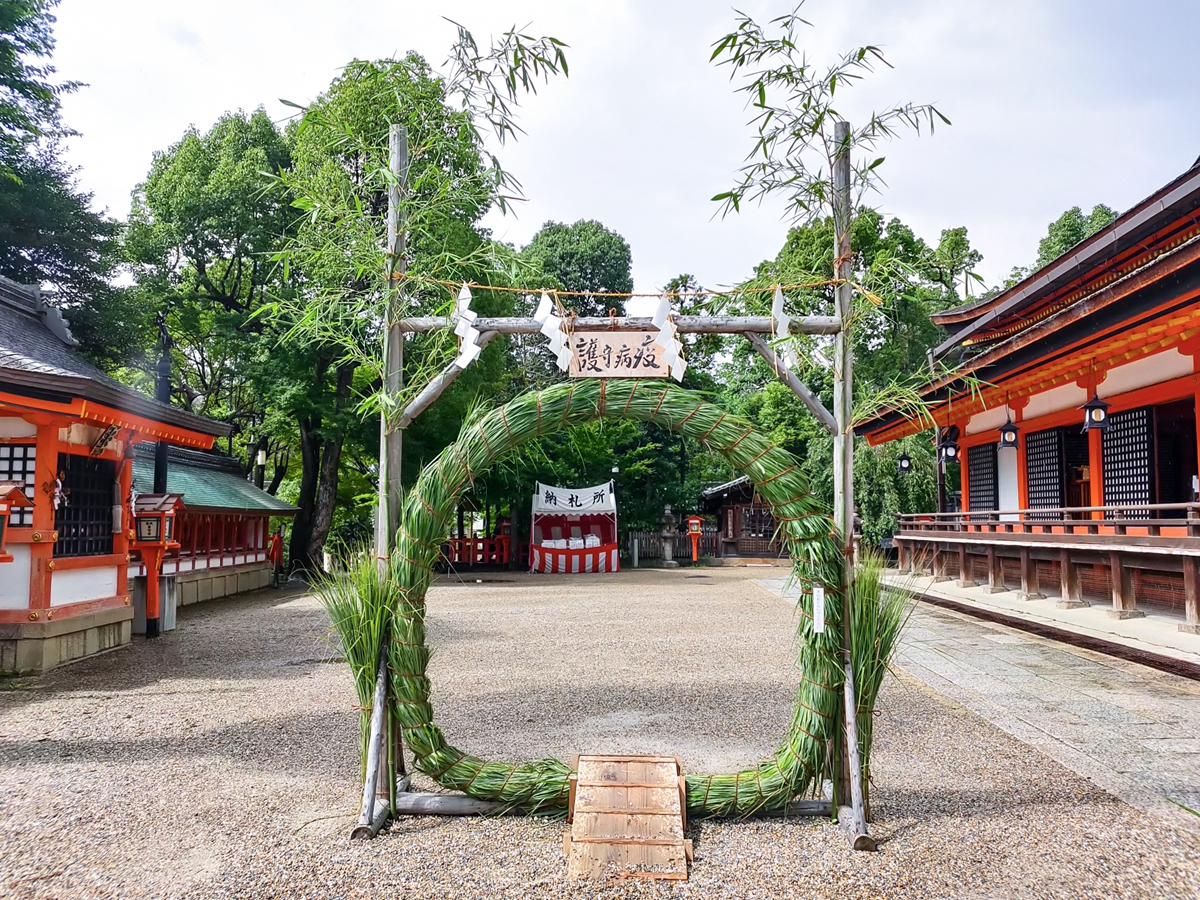 在台體驗日本傳統「鯉魚流光祭り」與「夏越の祓」：出發桃園神社感受日本傳統祭典的文化感