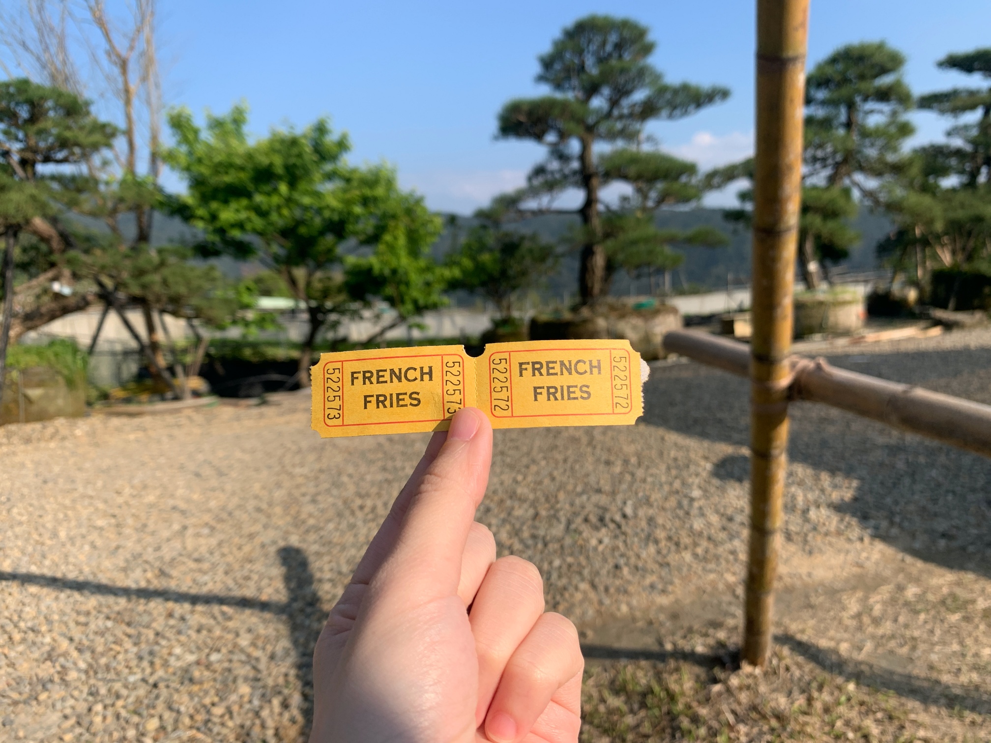 陽明山絕美秘境溫室咖啡廳「Merci裏山」，細節滿滿、古物、植栽看到飽，簡直一秒到日本！