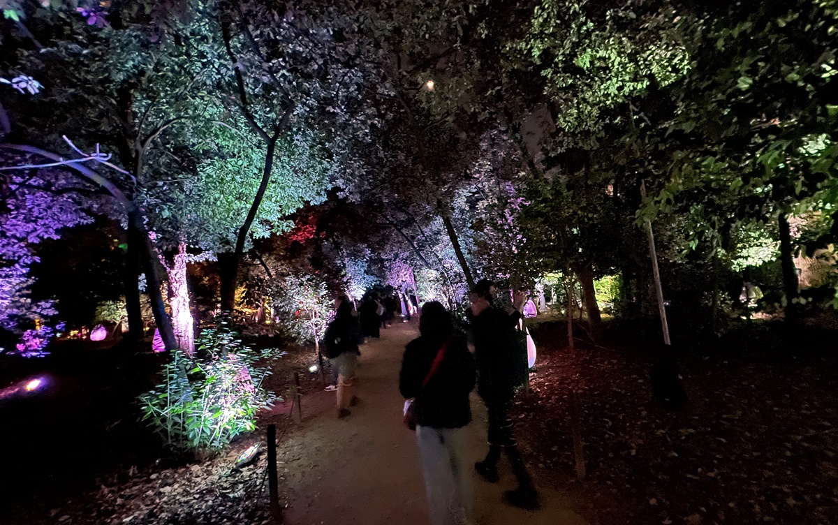夜晚限定！前進大阪南區的沉浸式藝術展覽：大阪長居植物園夜間常設展 teamLab Botanical Garden Osaka