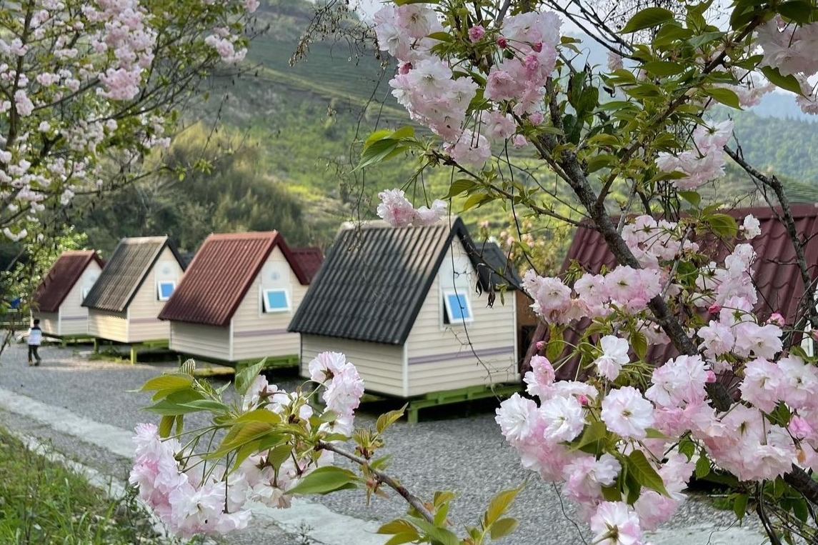 專屬太平洋海景步道、眺望合歡山峰！特搜台灣 5 大山林、海景的自然系露營好去處
