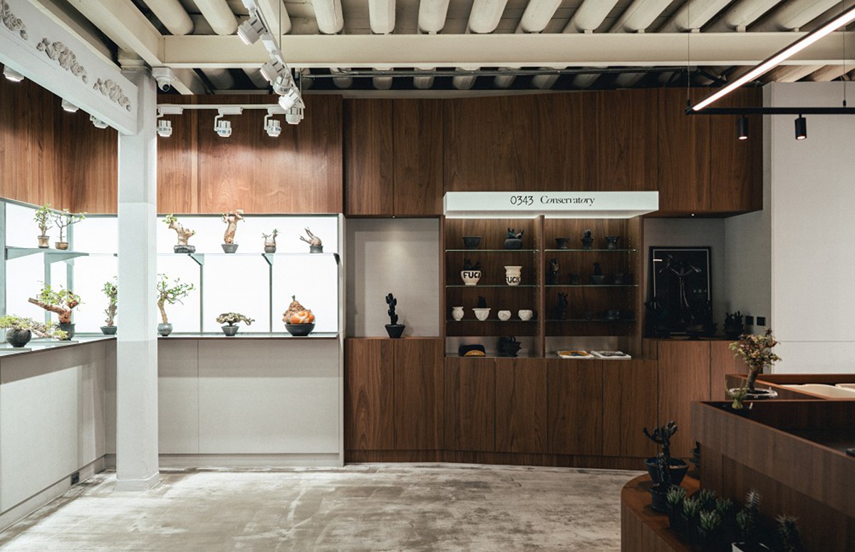 台南正興街老屋化身硬派塊根植物店「0343 CONSERVATORY TAINAN」！植物、盆器風格選物店再加一