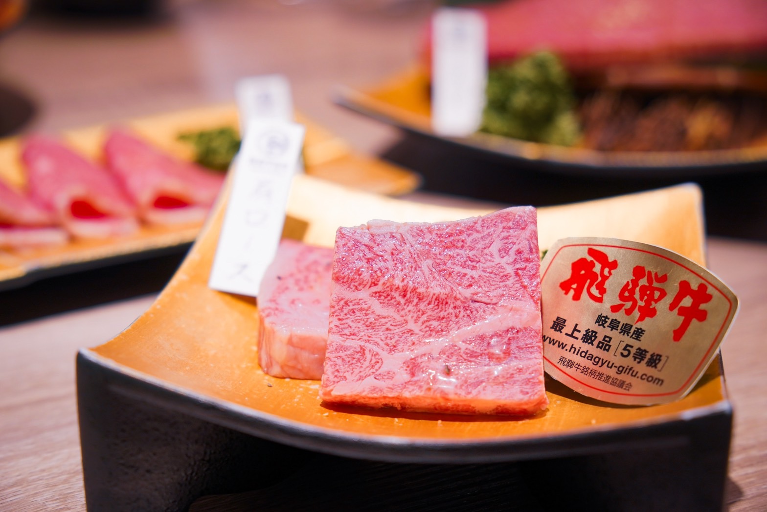 探訪HATSU Yakiniku & Wine和牛燒肉專門店！日本岐阜縣知事帶來飛驒牛祭，7/14-31限定開賣