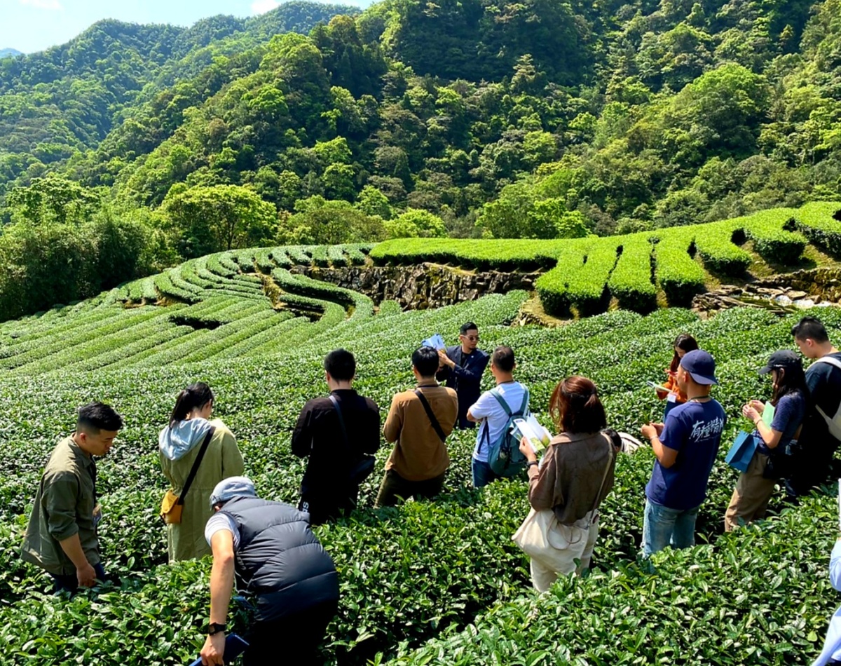 2023「茶嶼風格節」中秋連假登場！集結60+間質感茶品牌和風格餐飲，用味蕾來場療癒茶香盛宴