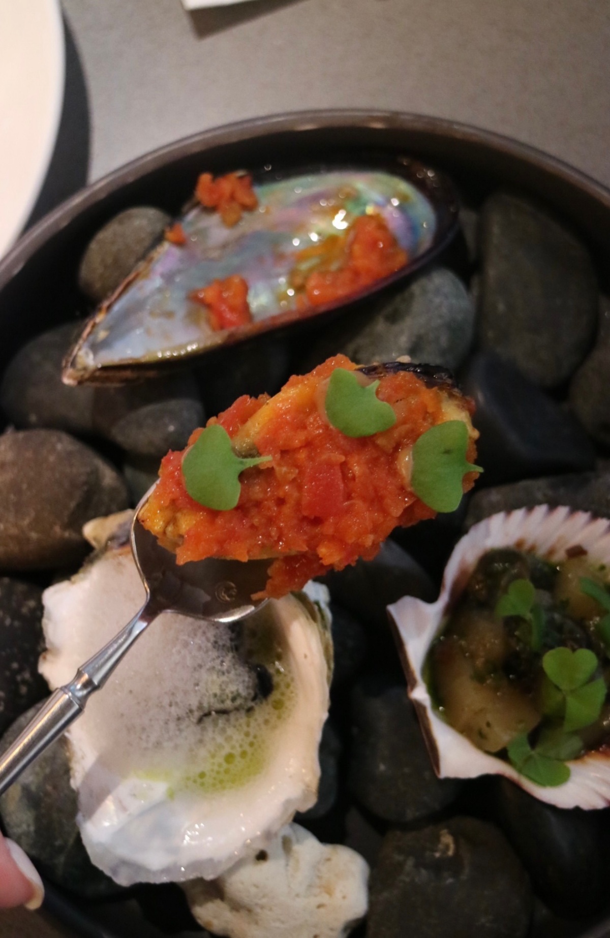 用味蕾來場離島旅行：小後苑信義店新菜《海島之島》將澎湖、馬祖、蘭嶼生活化作威士忌餐酒搭
