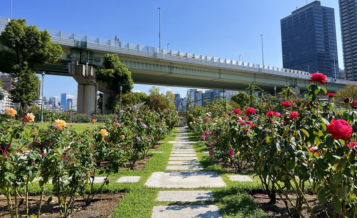 屬於大阪人的浪漫靜美！知性藝術又古典氣派的中之島公園晨間散策路線與河畔咖啡廳推薦