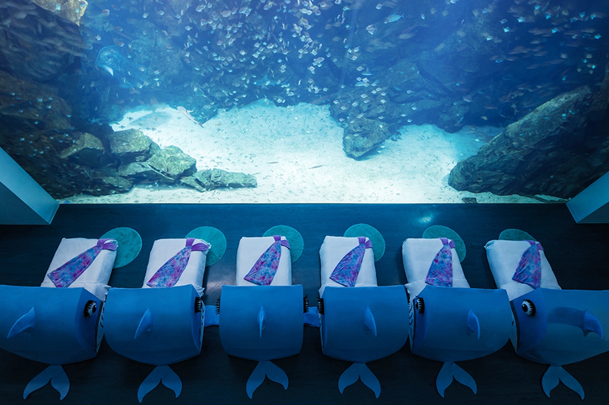 夜宿Xpark的水族探險啟程！和逸飯店打造「宿海奇遇 Blu Night」，五大亮點讓你擁有不一樣的住宿體驗