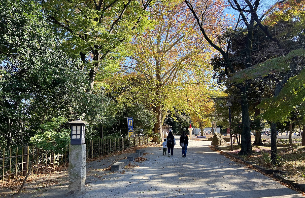 從另一個角度體驗東京旅遊：搭著東京都電荒川線緩緩前行，發現東京人竟生活地如此恬靜