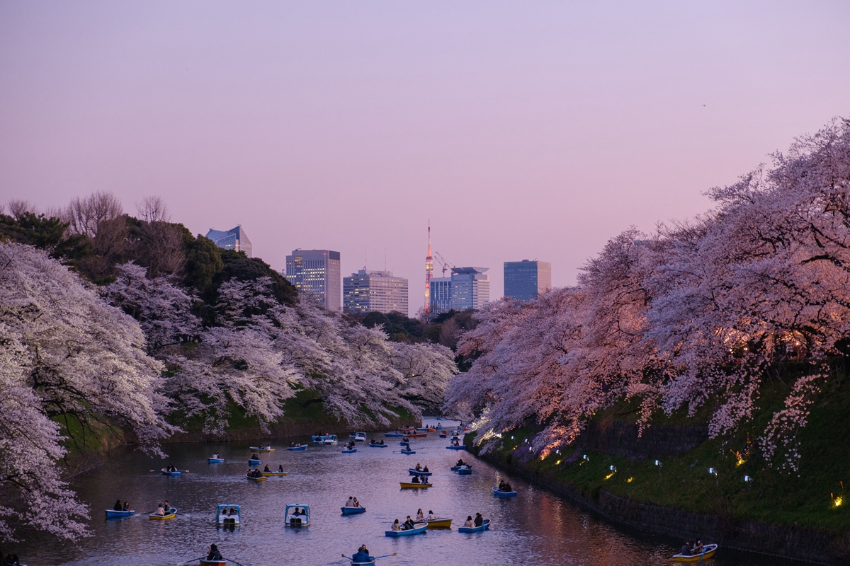 東京怎麼玩？三間日本特色遊船觀光模式：搭船看晴空塔、彩虹大橋與台場，玩出不一樣的東京