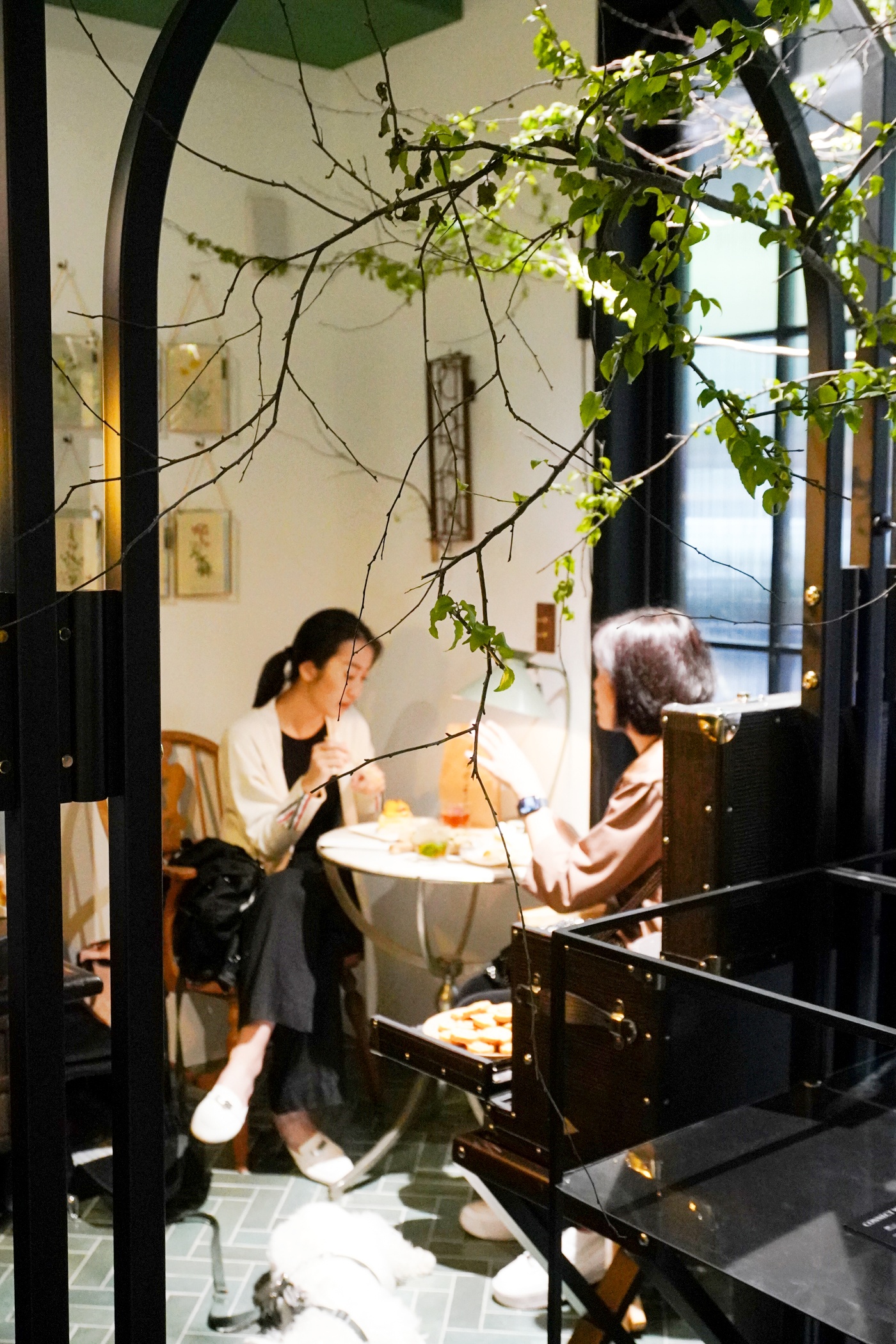 在城市花園裡喝下午茶！「CN Salon火山口下的花茶店」集結唯美花藝與療癒花草茶，打造都市裡的寧靜綠洲