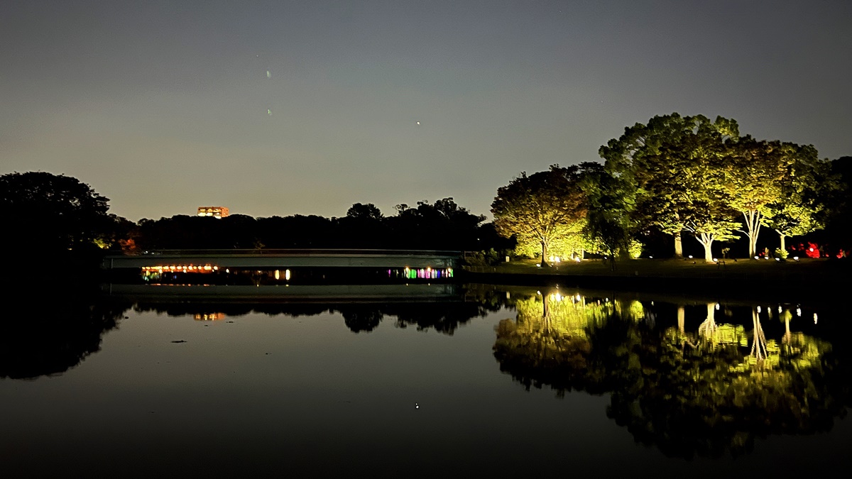 夜晚限定！前進大阪南區的沉浸式藝術展覽：大阪長居植物園夜間常設展 teamLab Botanical Garden Osaka