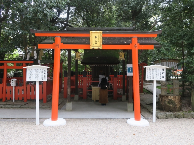 這3間京都祈求姻緣的神社超靈驗！清水寺、戀愛神社、下鴨神社，同場加映鹿耳島佐賀祐德稻荷神社