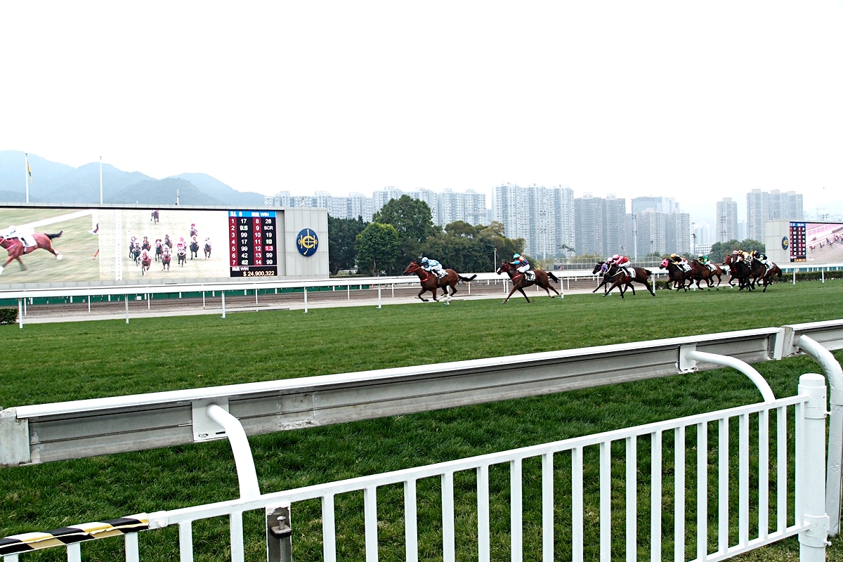 香港旅遊什麼必吃？米其林餐廳、楊枝甘露、芝麻糊以及港片電影景點是風格旅人的最愛
