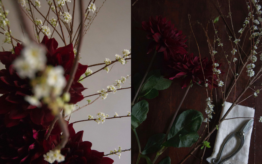 【人物專訪】日式花道的個人主義化演繹，Ikebana Artist 陳曦：從練花過程中正視自己的本性