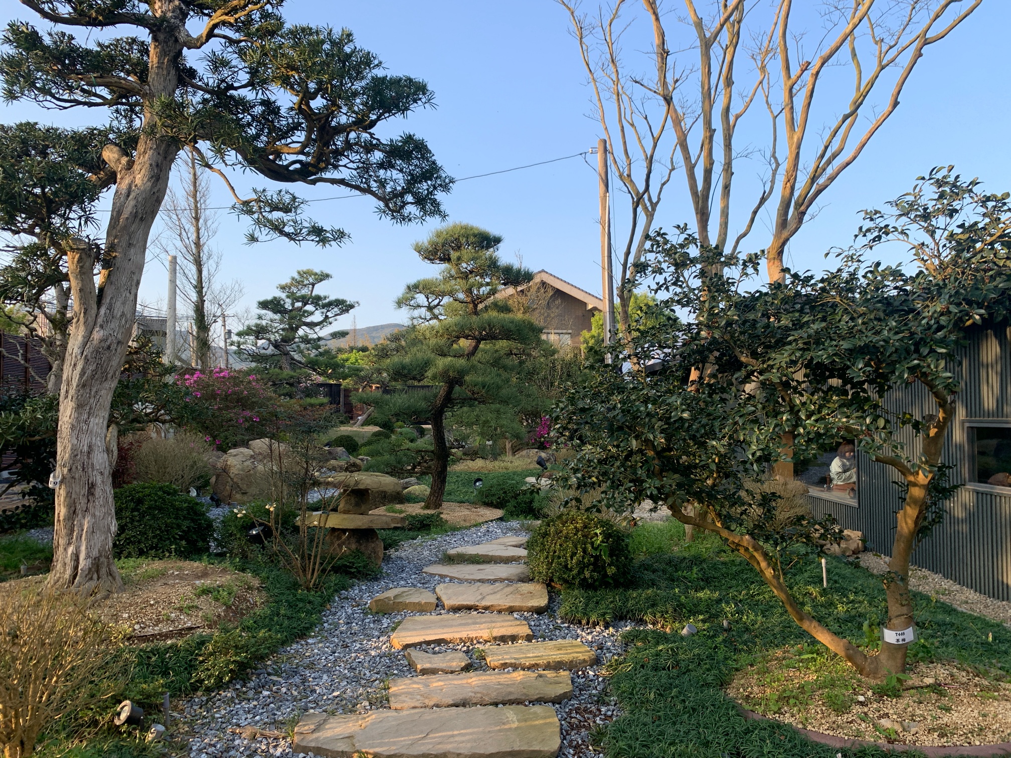 陽明山絕美秘境溫室咖啡廳「Merci裏山」，細節滿滿、古物、植栽看到飽，簡直一秒到日本！