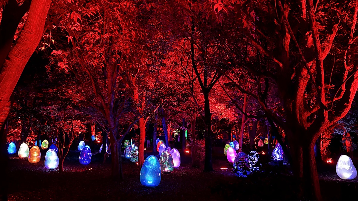 夜晚限定！前進大阪南區的沉浸式藝術展覽：大阪長居植物園夜間常設展 teamLab Botanical Garden Osaka