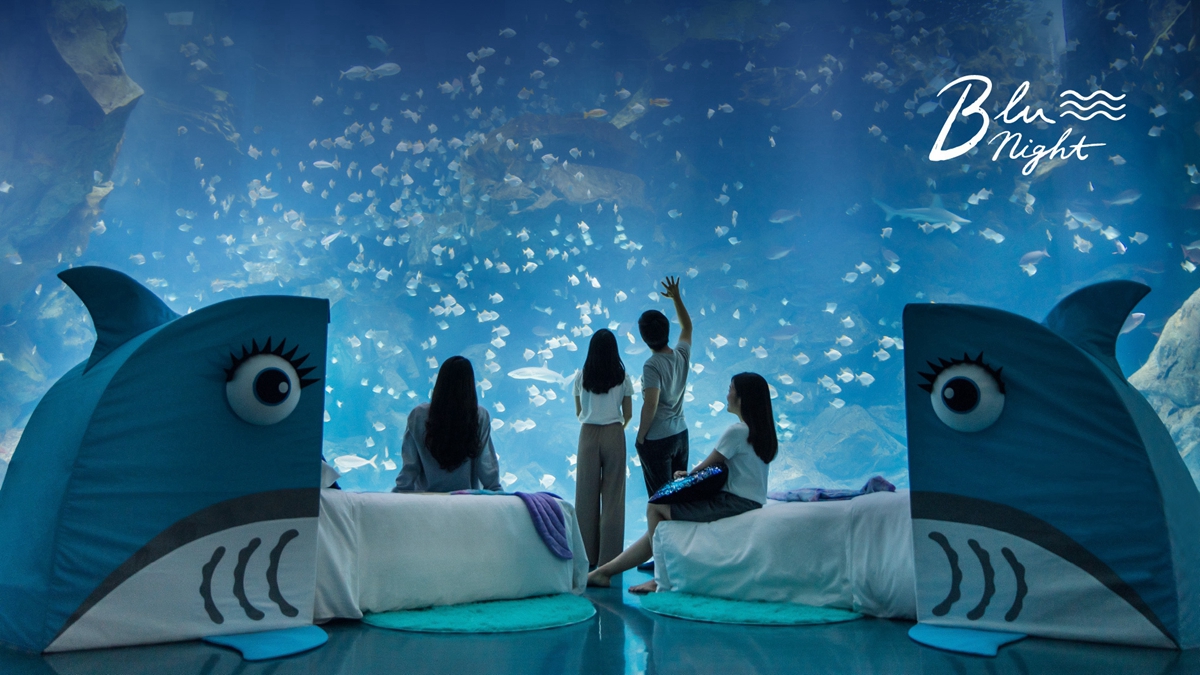 夜宿Xpark的水族探險啟程！和逸飯店打造「宿海奇遇 Blu Night」，五大亮點讓你擁有不一樣的住宿體驗