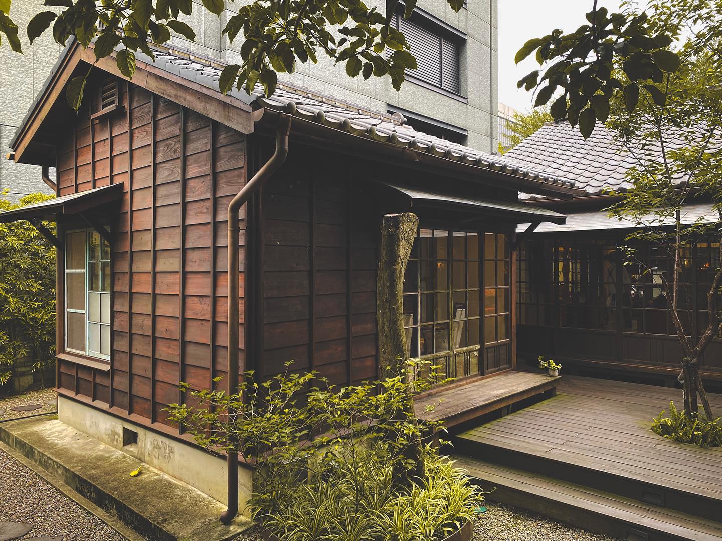【走讀台北】日式宿舍群中的耀眼伴手禮店：造訪金碧輝煌的「金錦町」