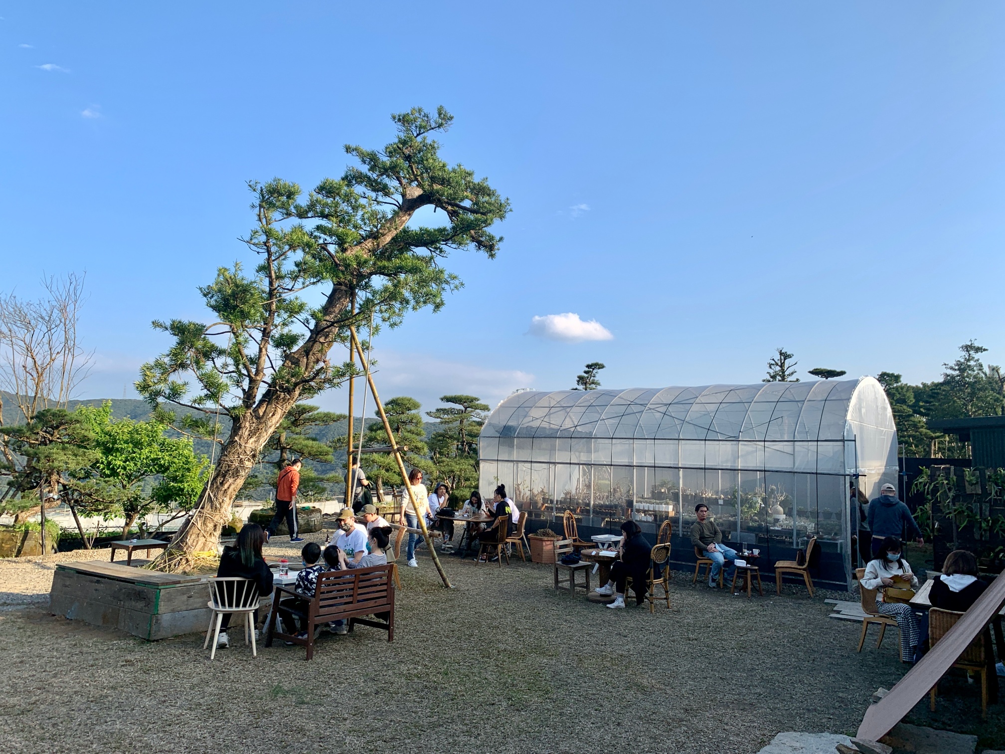 陽明山絕美秘境溫室咖啡廳「Merci裏山」，細節滿滿、古物、植栽看到飽，簡直一秒到日本！
