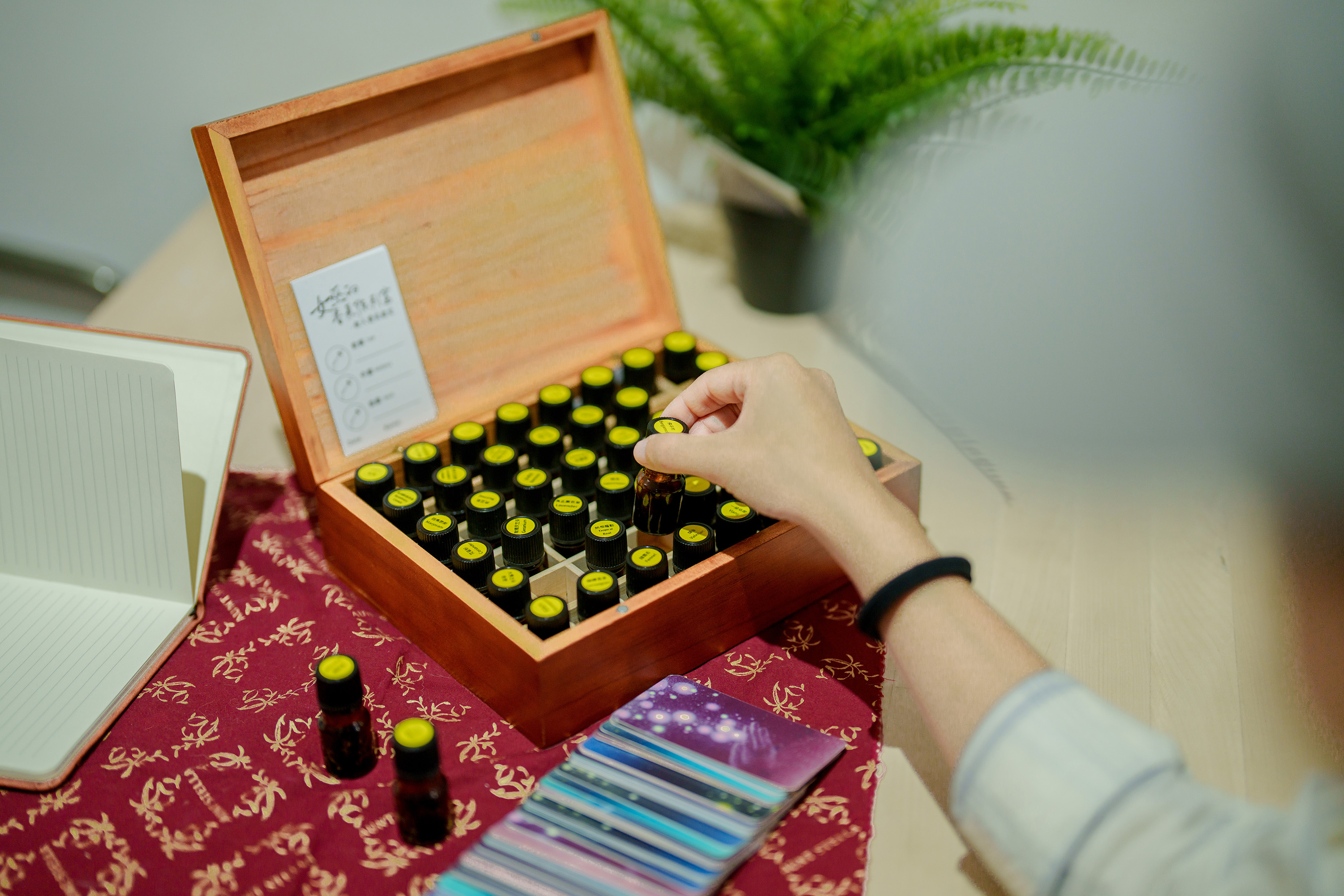 辦在防空洞裡的香氛展！「女巫的香氣陳列室」以療癒香氣訴說基隆故事，「正濱の味」香氛同步登場