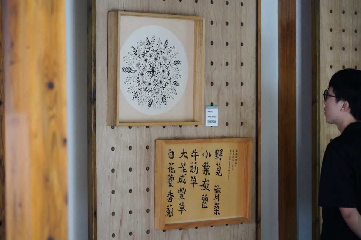 植物迷必去的「城市公園野草學」正式開展！進駐嘉義百年樹木園，邀你探索專屬嘉義的野草之美
