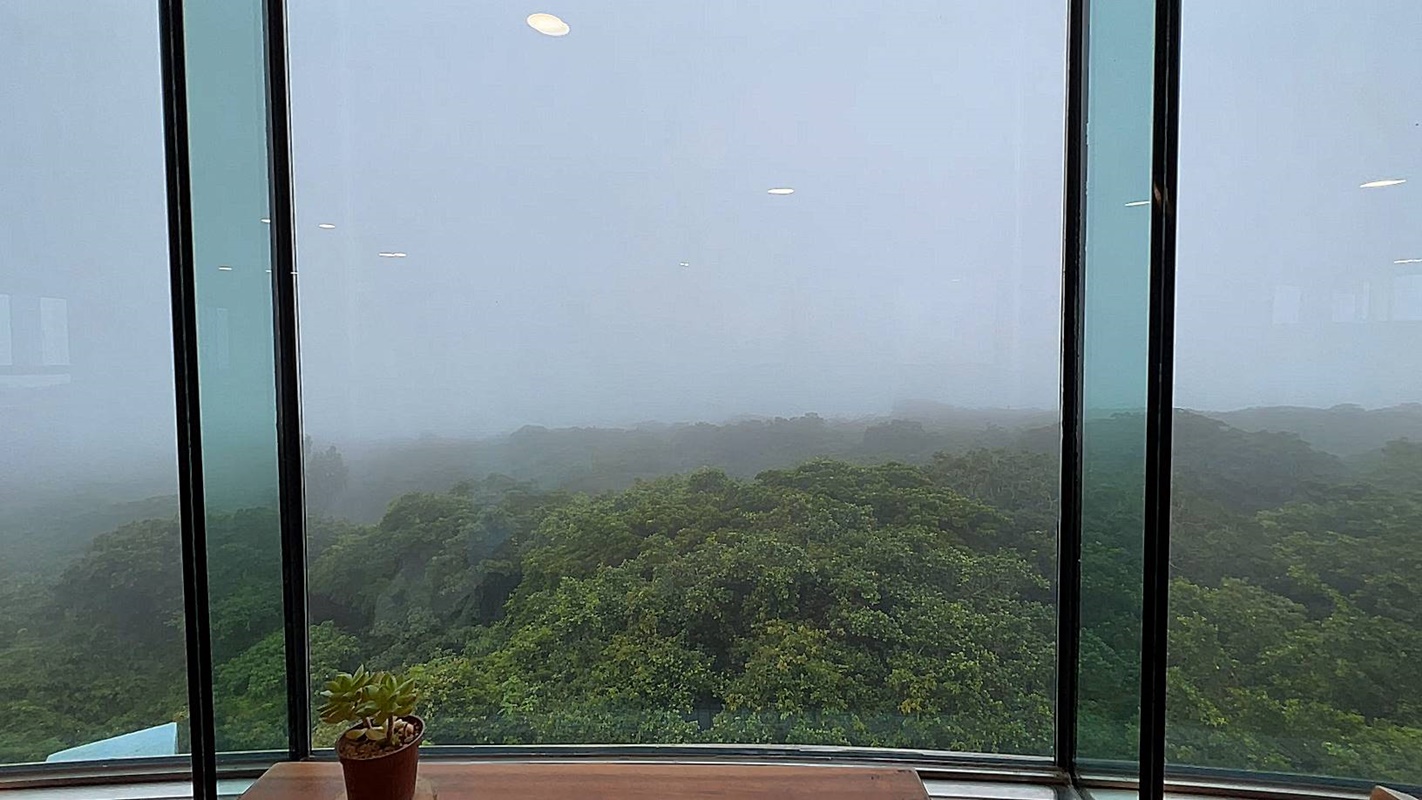好一個幽美絕靜的墾丁半日遊！造訪在雷雨之間走起來頗有探險意味的「墾丁國家森林遊樂區」