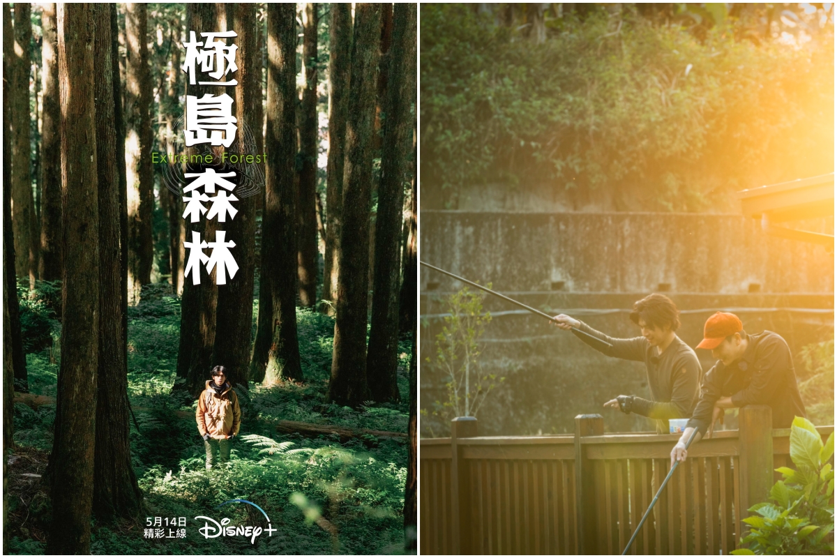 Disney+ 最新片單推薦！李準《紅丹心》、林柏宏《青春弒戀》，接檔五一連假《月光騎士》、《由零開始愛上你》