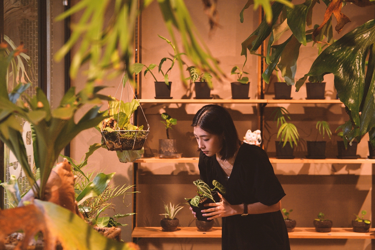 Re 森³ 再開幕！結合爵士喫茶店、咖啡甜點、山系質感選物的綠意風格實驗場域
