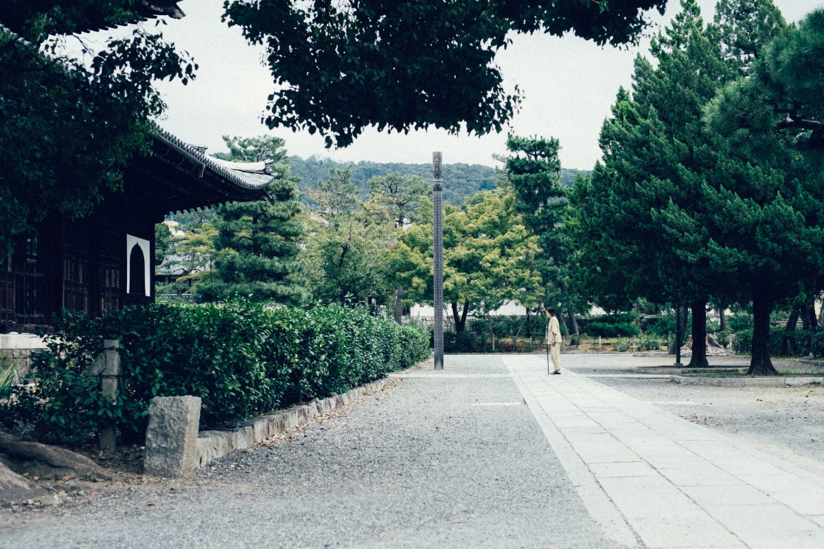 春天的京都充滿魅力！跟著《京都：春季遊》品在地美食、看風景，用在地人的方式來場京都之旅