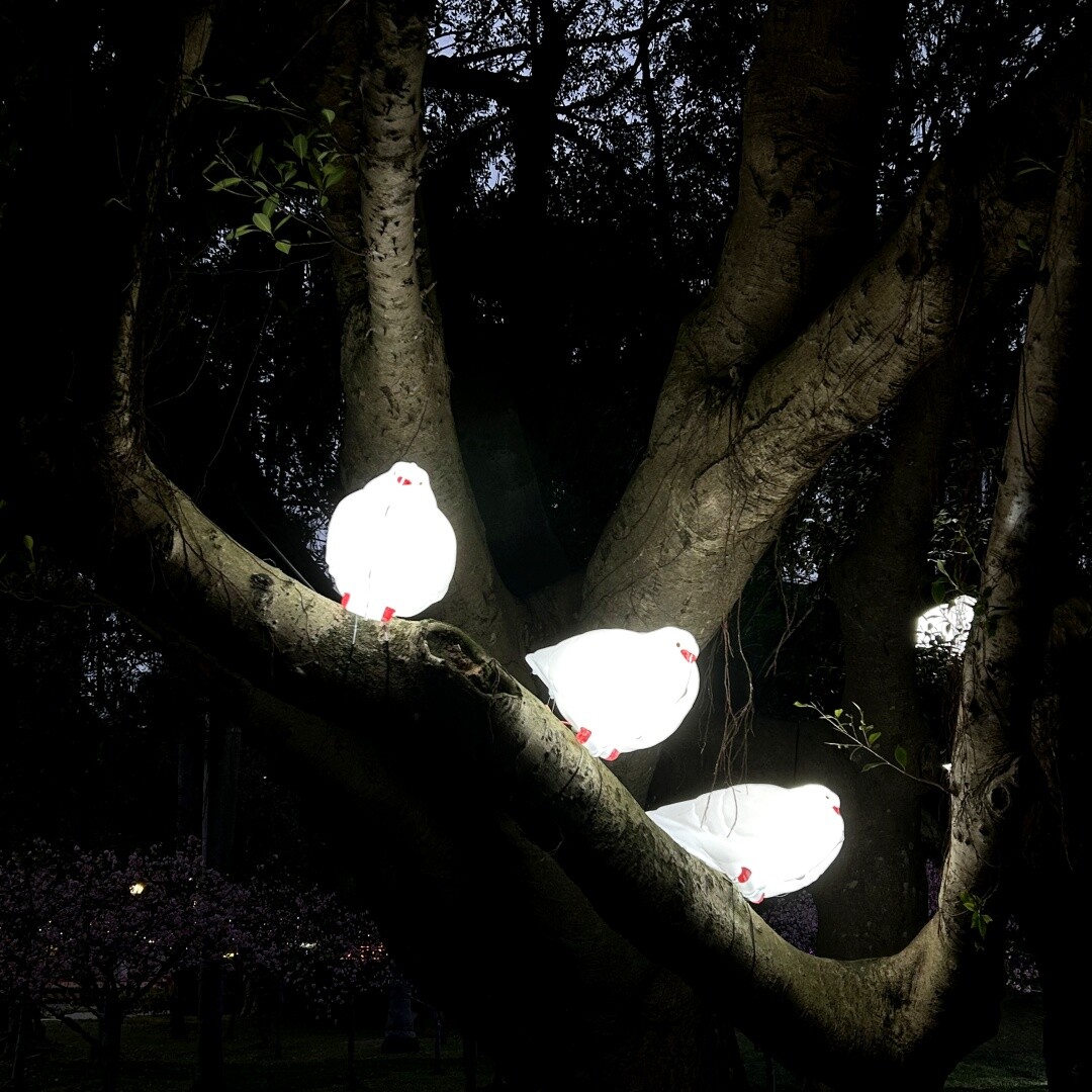 台灣燈會國父紀念館打卡推薦：浪的終點是白花